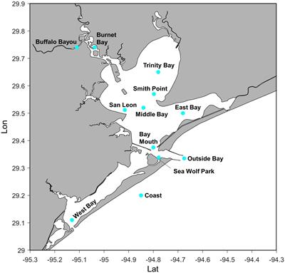 Importance of the water-sediment bed interactions in simulating microplastic particles in an estuarine system